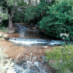 Klaserie River running with big trees