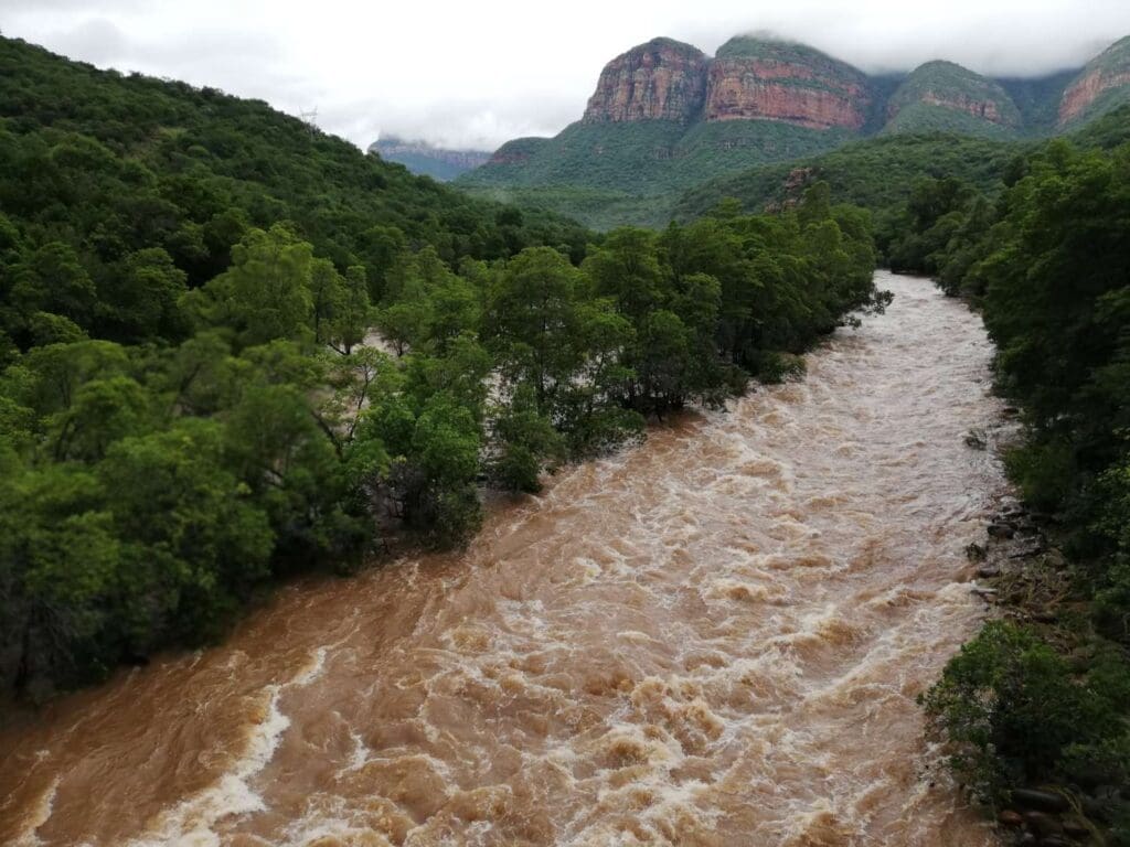 Strong river running through the trees and mountains